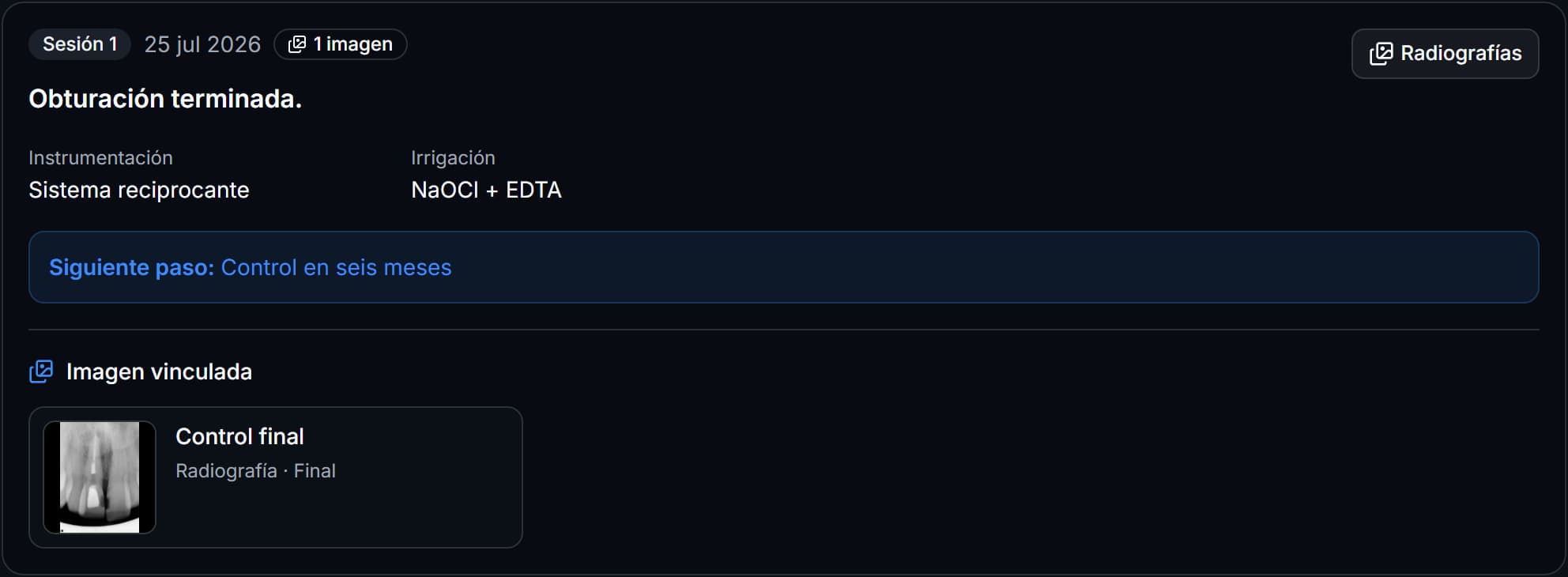 Sesión clínica de Endora con su radiografía vinculada.