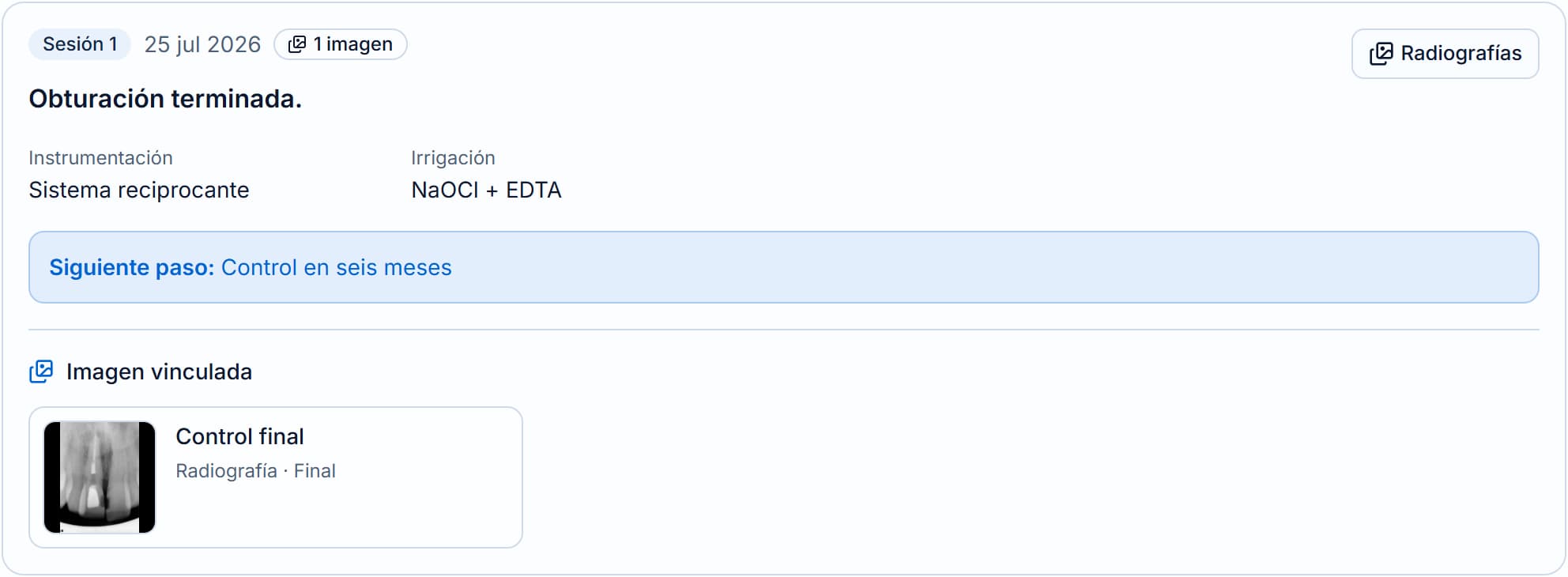 Sesión clínica de Endora con su radiografía vinculada.